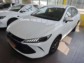 BYD Qin PLUS 2025 DM-i Smart Drive 55KM Leading Model