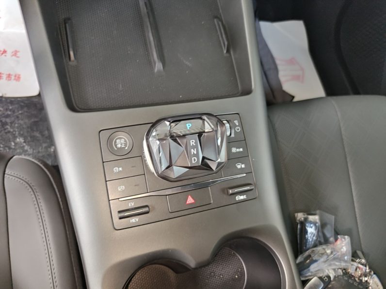 
								BYD Qin PLUS 2025 DM-i Smart Drive 55KM Leading Model full									