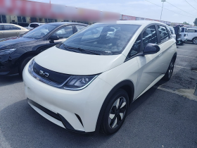 BYD Dolphin 2025 420km Free Edition