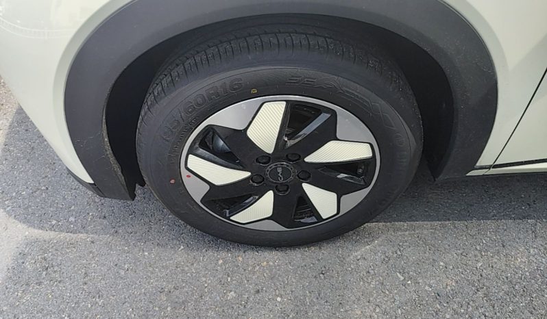 
								BYD Dolphin 2025 420km Free Edition full									