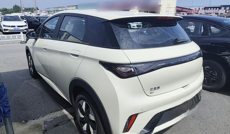 
								BYD Dolphin 2025 420km Free Edition full									