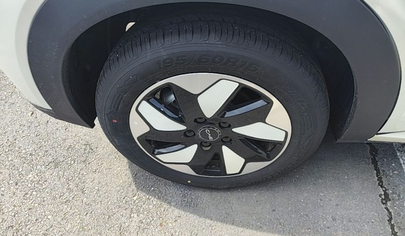 
								BYD Dolphin 2025 420km Free Edition full									