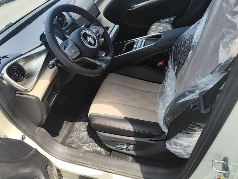 
								BYD Dolphin 2025 420km Free Edition full									