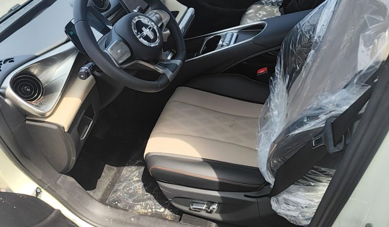 
								BYD Dolphin 2025 420km Free Edition full									
