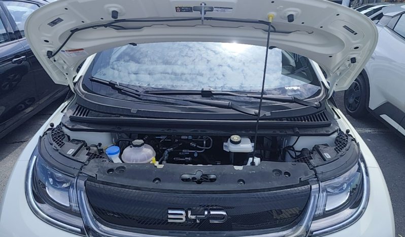 
								BYD Dolphin 2025 420km Free Edition full									