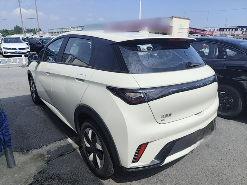 
								BYD Dolphin 2025 420km Free Edition full									