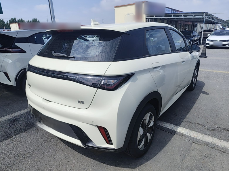 
								BYD Dolphin 2025 420km Free Edition full									
