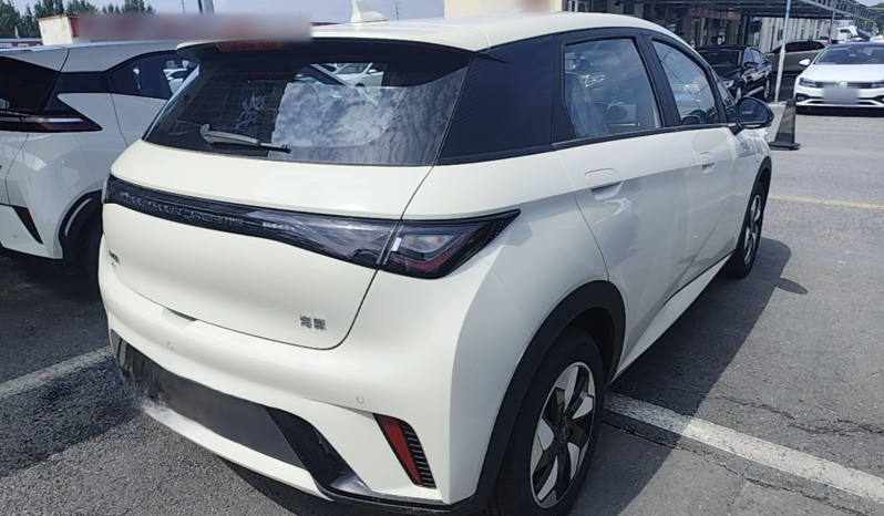 
								BYD Dolphin 2025 420km Free Edition full									