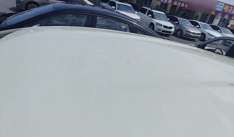 
								BYD Dolphin 2025 420km Free Edition full									