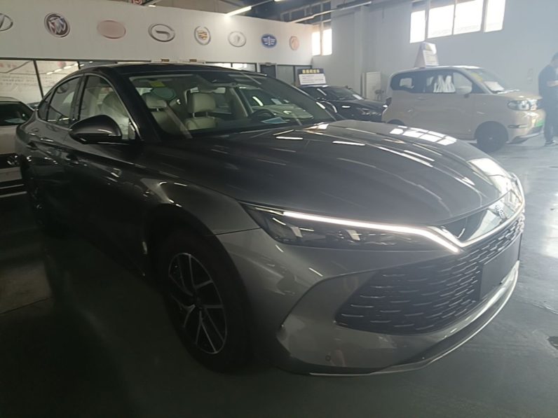 
								BYD Qin L 2024 DM-i 120KM Beyond Model full									