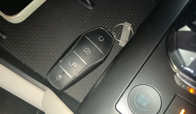 
								BYD Qin L 2024 DM-i 120KM Beyond Model full									