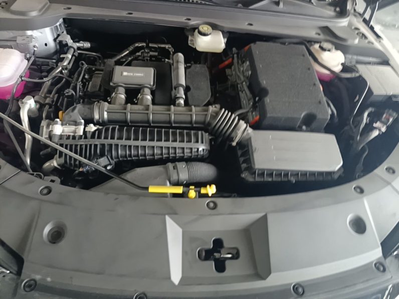 
								BYD Qin L 2024 DM-i 120KM Beyond Model full									