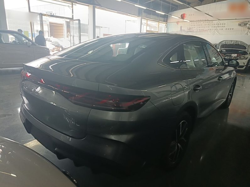 
								BYD Qin L 2024 DM-i 120KM Beyond Model full									