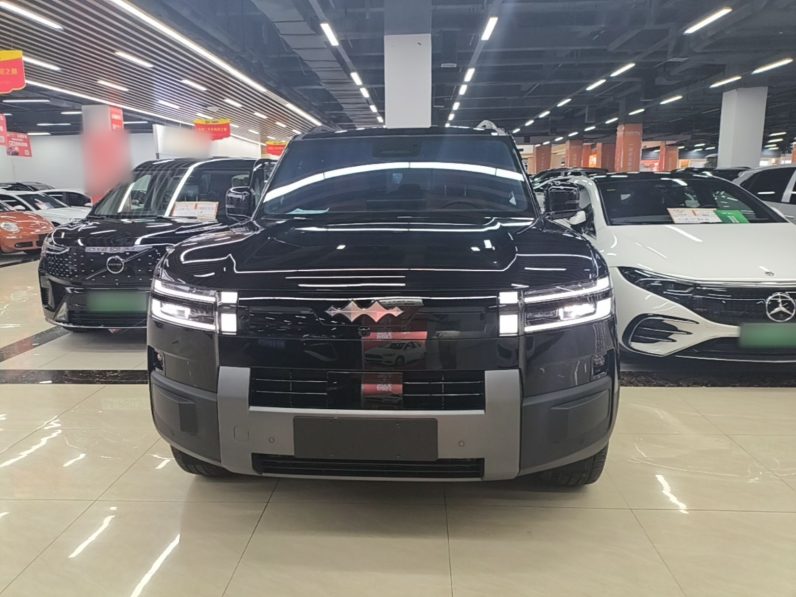 
								Formula Leopard Titanium 7 2025 Model 200 km Two-Wheel Drive Max Edition full									