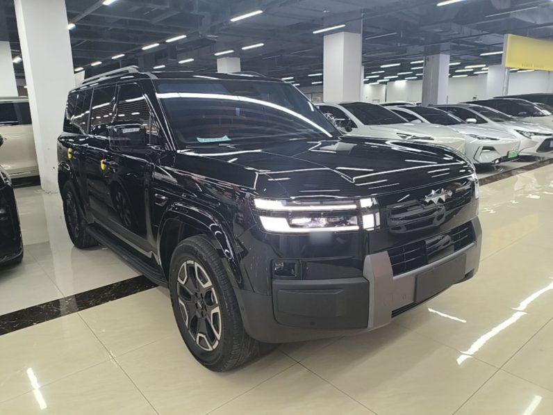 
								Formula Leopard Titanium 7 2025 Model 200 km Two-Wheel Drive Max Edition full									
