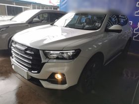 Haval H6 2025 1.5T National Trend Champion Edition