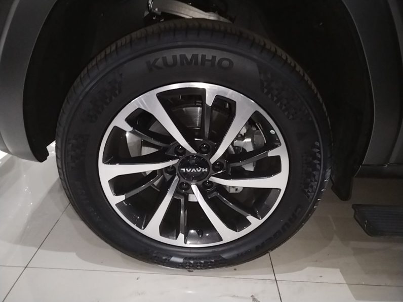 
								Haval H9 2024 2.0T Gasoline All-Wheel-Drive Extreme Edition full									