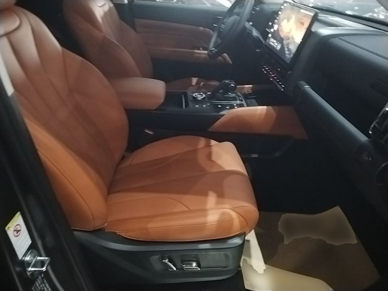 
								Haval H9 2024 2.0T Gasoline All-Wheel-Drive Extreme Edition full									