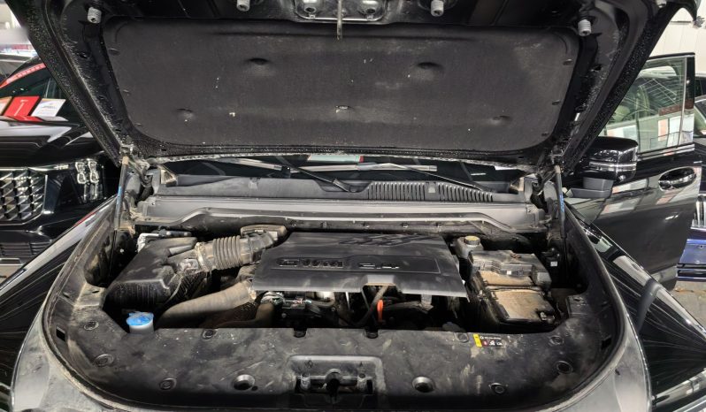 
								Haval H9 2024 2.4T Diesel 4×4 Extreme Edition full									
