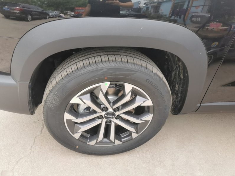 
								Haval DARGO 2026 Model 1.5T DCT Border Collie Edition full									