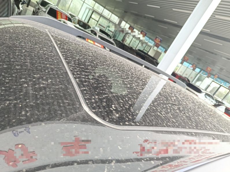 
								Haval DARGO 2026 Model 1.5T DCT Border Collie Edition full									