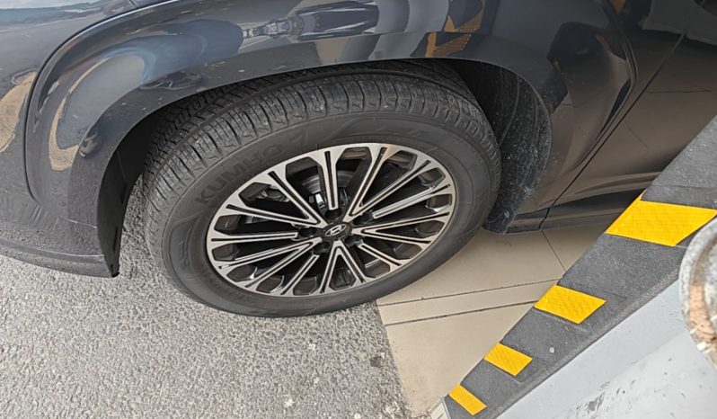 
								Hyundai Custo 2024 380TGDi TOP Premium SmartCare Flagship Edition full									