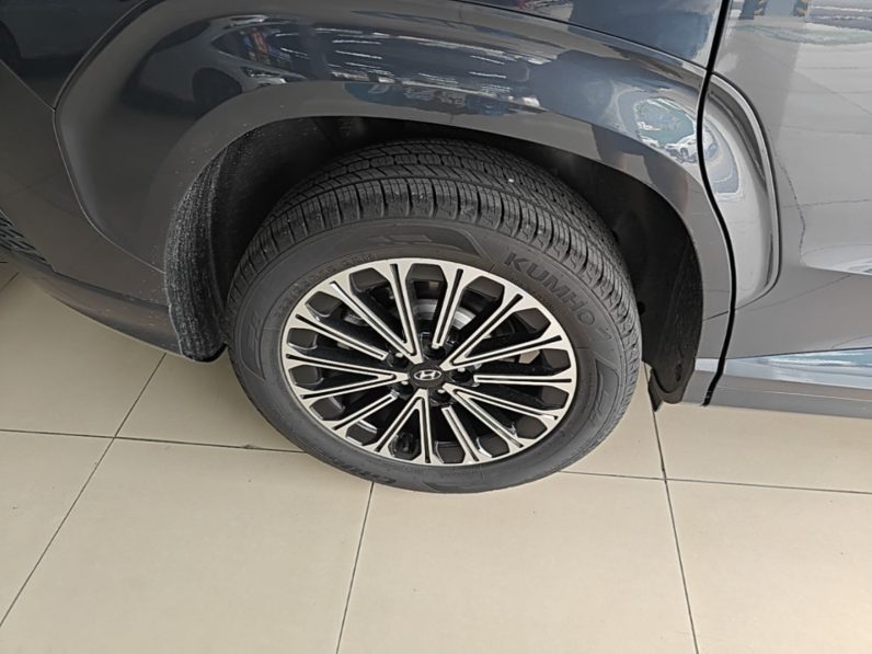 
								Hyundai Custo 2024 380TGDi TOP Premium SmartCare Flagship Edition full									