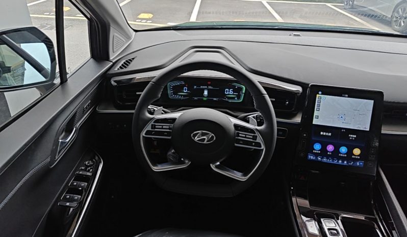 
								Hyundai Custo 2024 380TGDi TOP Premium SmartCare Flagship Edition full									