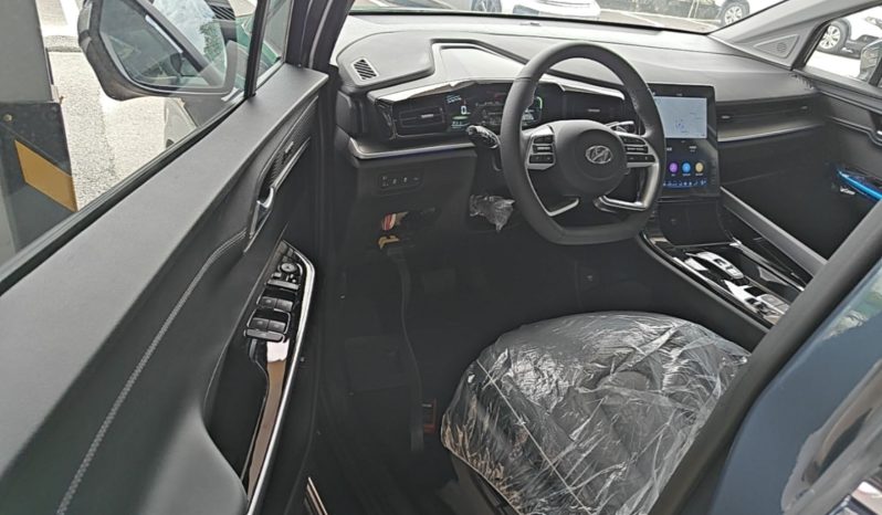 
								Hyundai Custo 2024 380TGDi TOP Premium SmartCare Flagship Edition full									