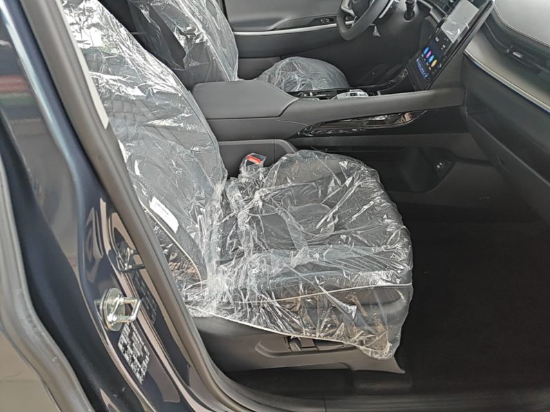 
								Hyundai Custo 2024 380TGDi TOP Premium SmartCare Flagship Edition full									