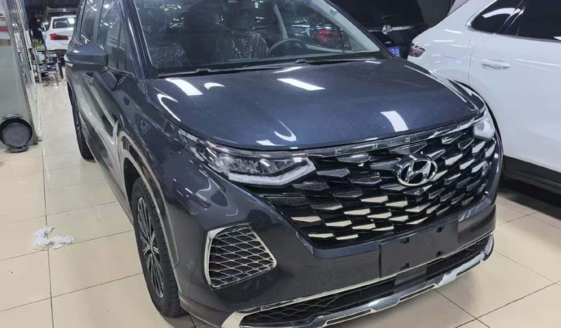 
								Hyundai Custo 2024 380TGDi TOP Premium SmartCare Flagship Edition full									