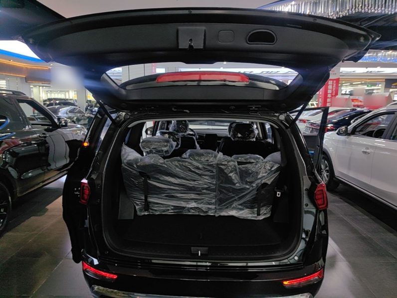 
								Hyundai Custo 2024 270TGDi LUX Prestige Edition full									