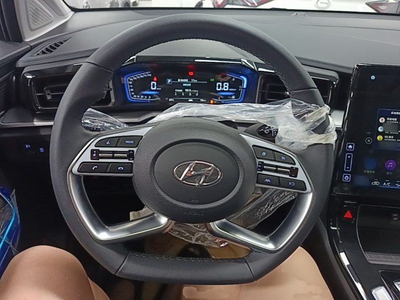 
								Hyundai Custo 2024 270TGDi LUX Prestige Edition full									