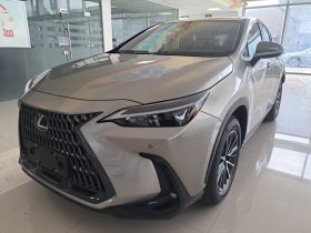 Lexus NX 2025 Model 200 FUN