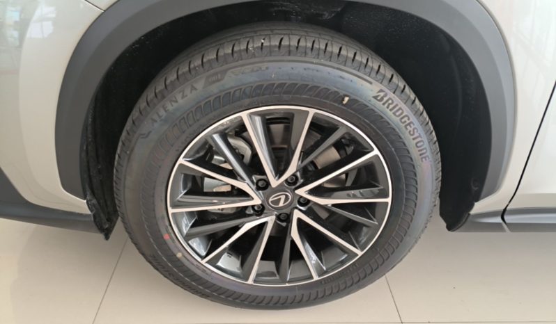 
								Lexus NX 2025 Model 200 FUN full									