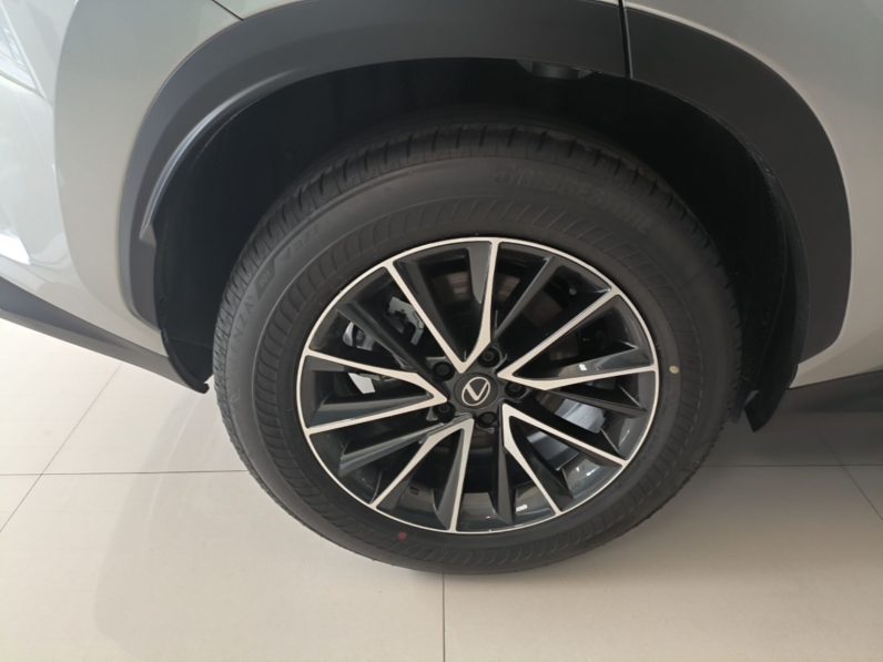 
								Lexus NX 2025 Model 200 FUN full									