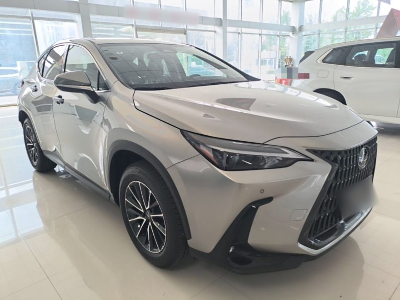 
								Lexus NX 2025 Model 200 FUN full									