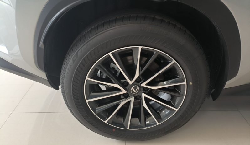 
								Lexus NX 2025 Model 200 FUN full									