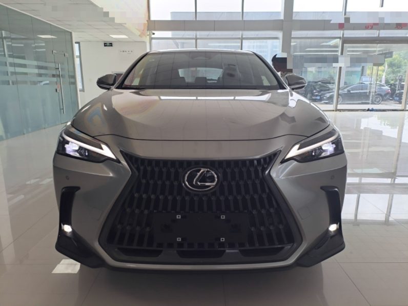 
								Lexus NX 2025 Model 200 FUN full									