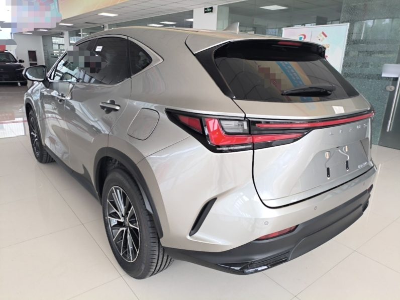 
								Lexus NX 2025 Model 200 FUN full									
