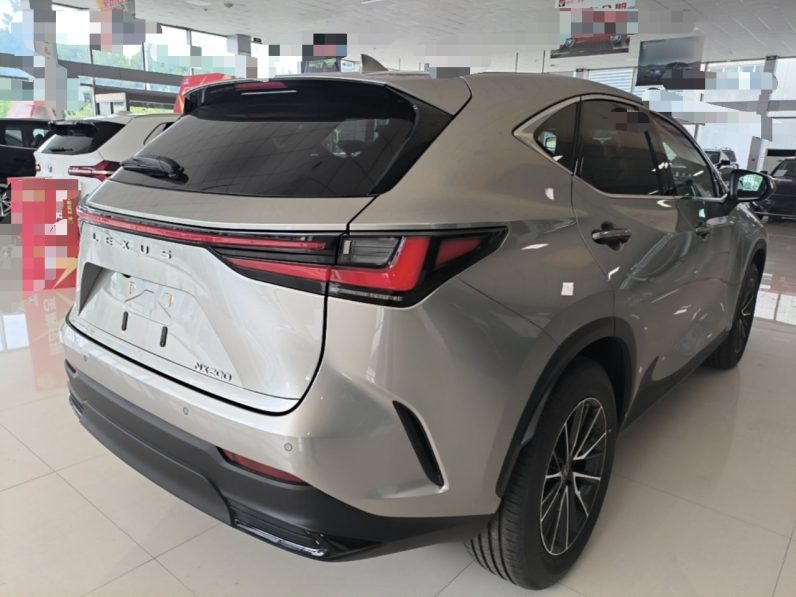
								Lexus NX 2025 Model 200 FUN full									
