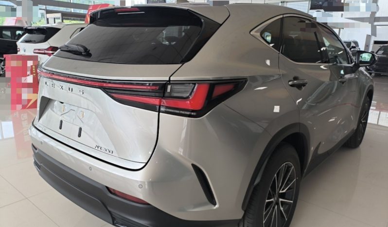 
								Lexus NX 2025 Model 200 FUN full									
