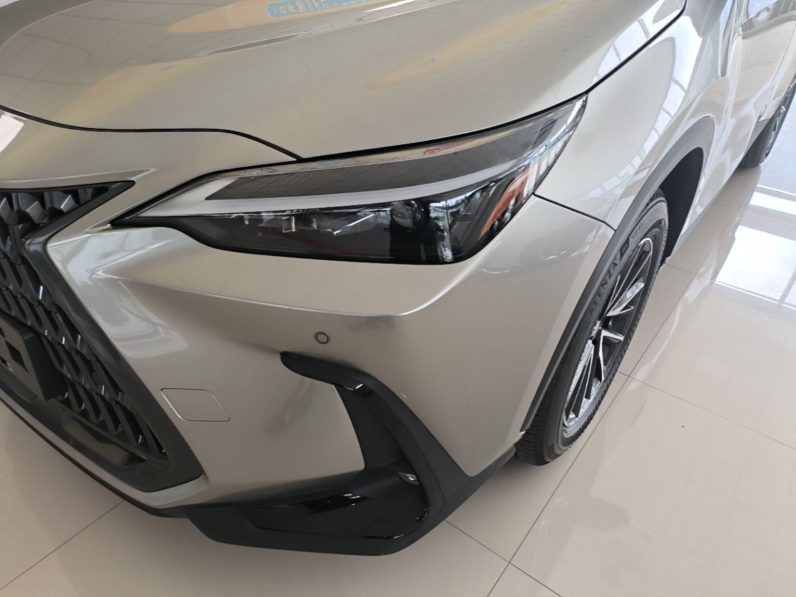 
								Lexus NX 2025 Model 200 FUN full									