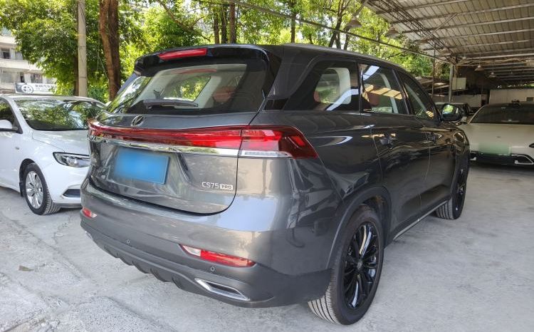 
								2021 CHANGAN CS55PLUS Blue Whale Edition 1.5T DCT Prestige Model – Gray full									
